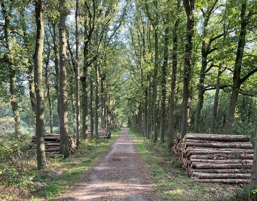 Sfeervol Familielandhuis In De Groene Kempen Baarle-Hertog ภายนอก รูปภาพ