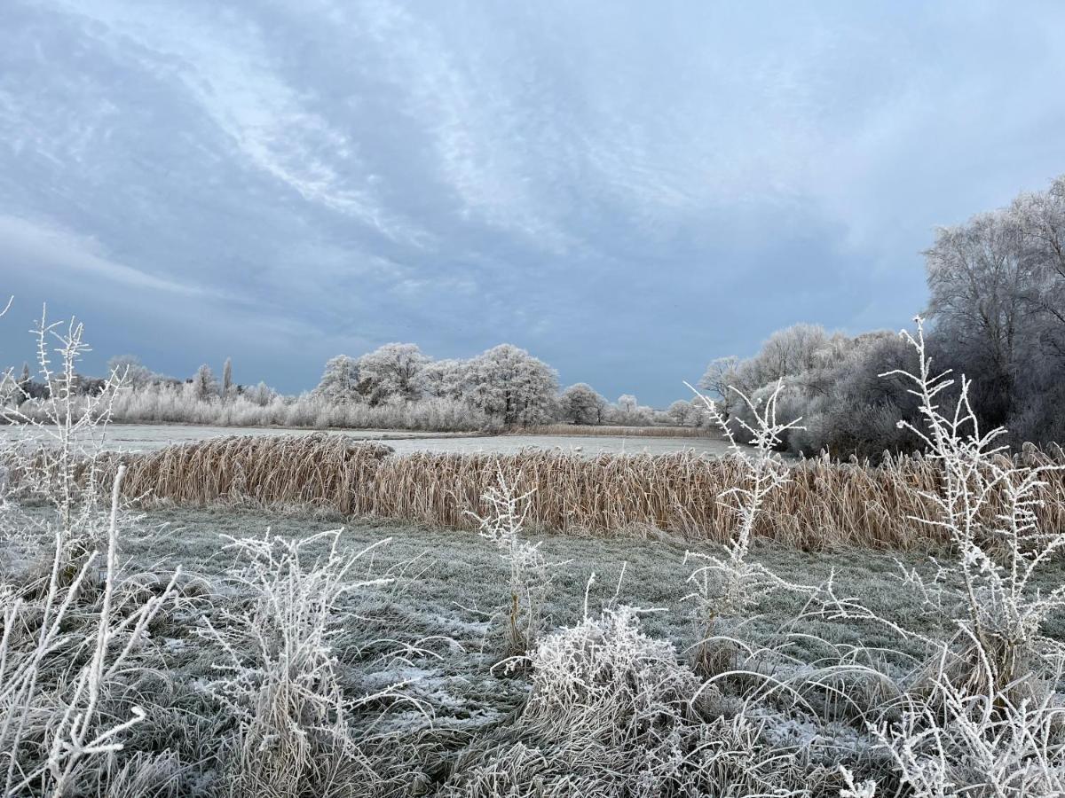 Sfeervol Familielandhuis In De Groene Kempen Baarle-Hertog ภายนอก รูปภาพ